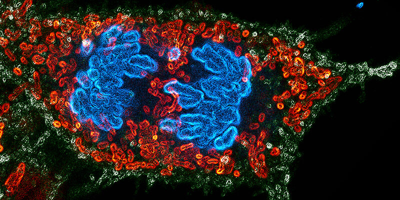 Image of Advanced Motion & Scientific Imaging Systems category