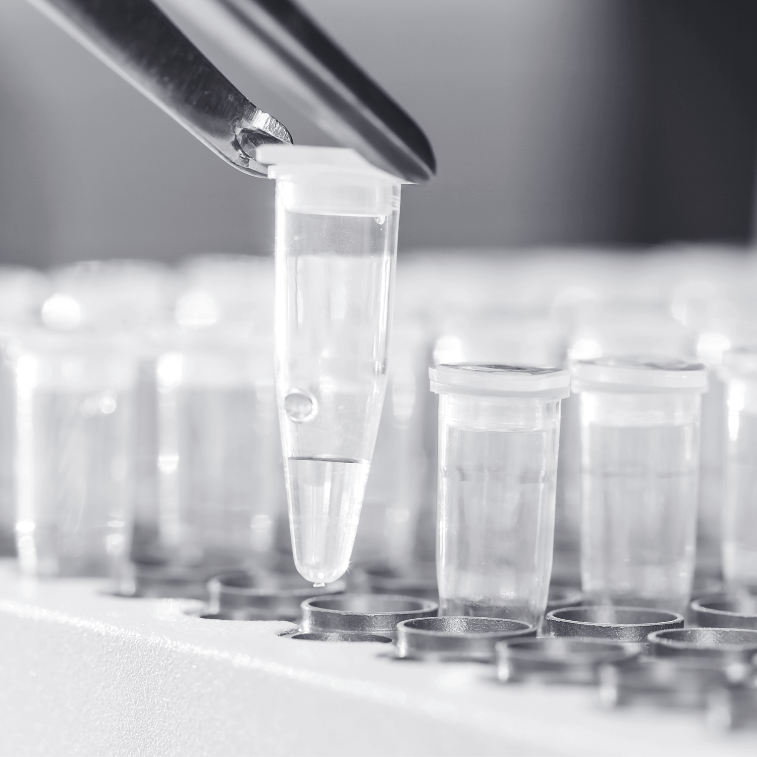 PCR & Molecular Analysis