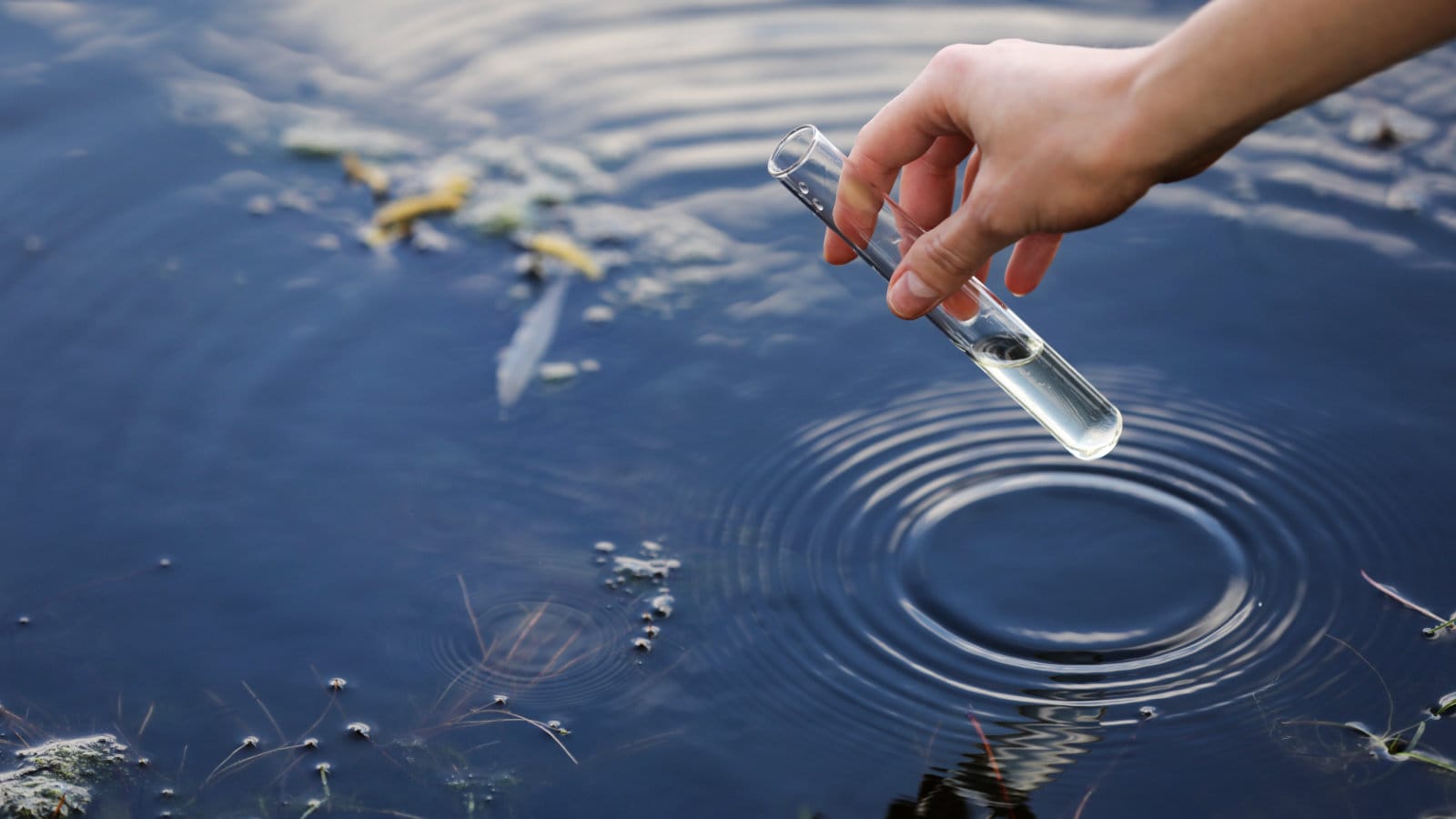 Water Quality Analysis