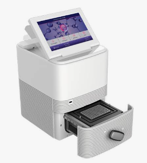 PCR & Molecular Analysis