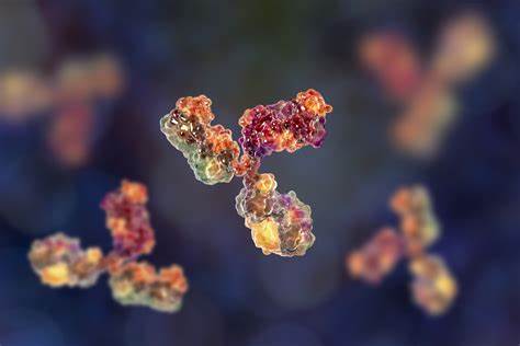 Recombinant Monoclonal Antibodies (recmAbTM)