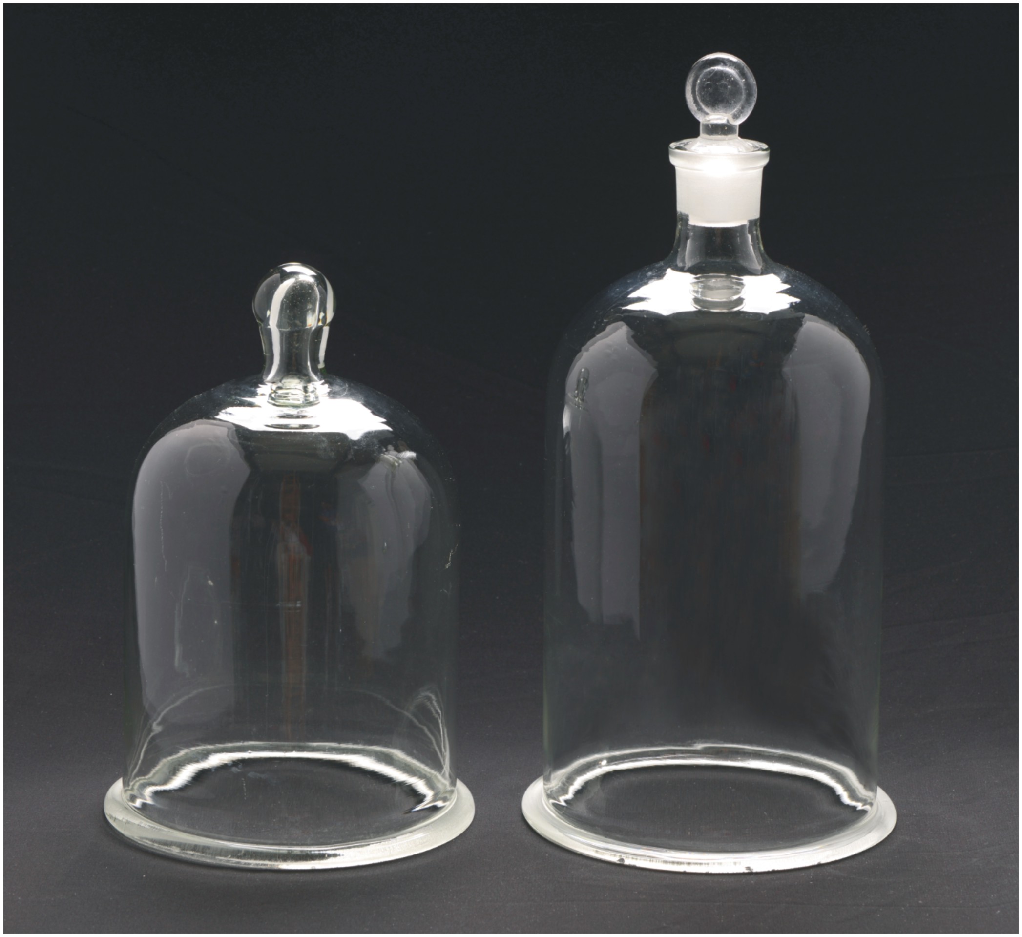 Bell Jar