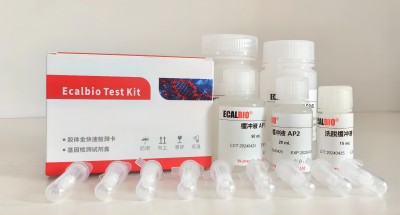 DNA/RNA Purification Kit