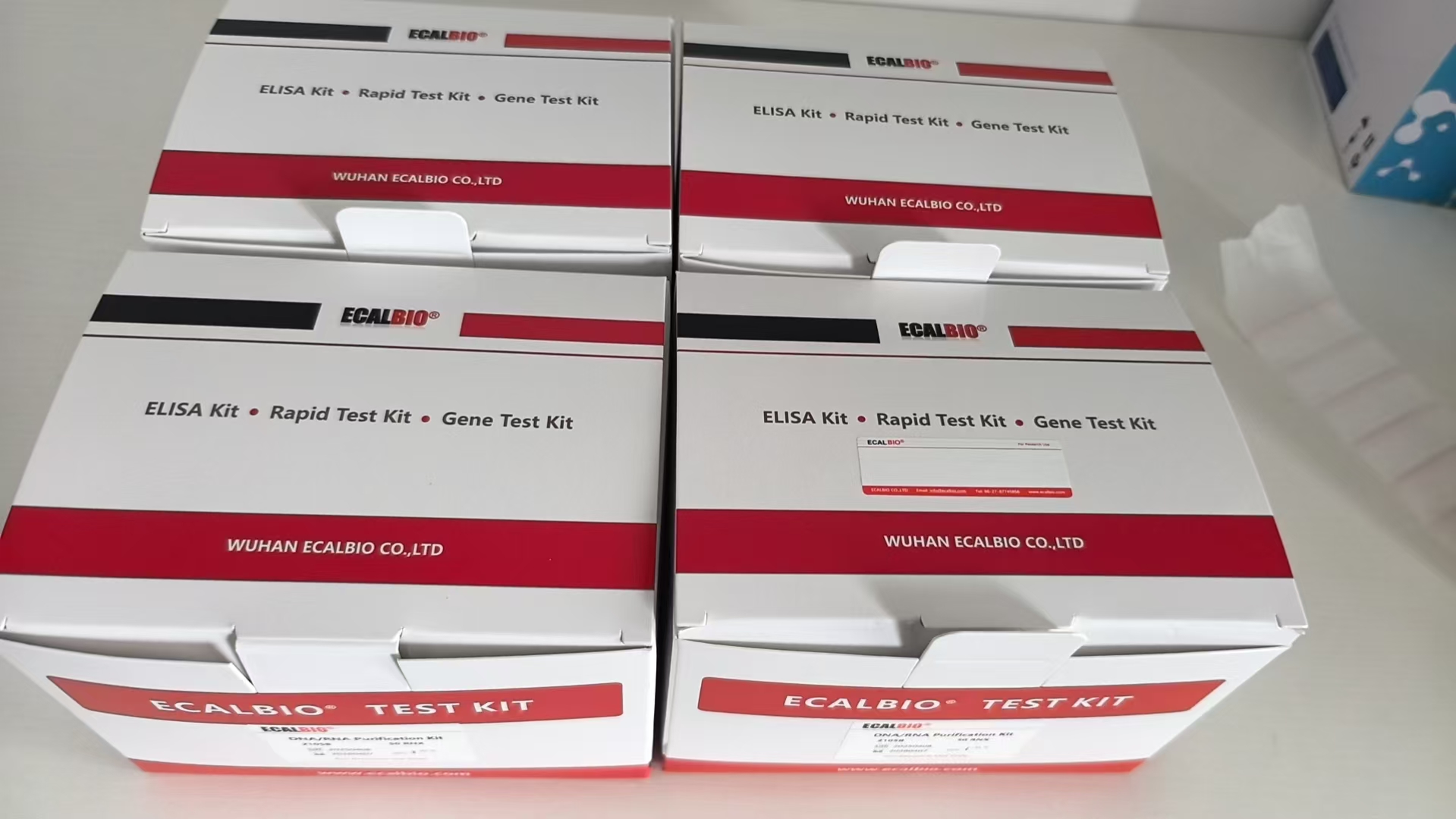Benzopyrene Rapid Test Kit
