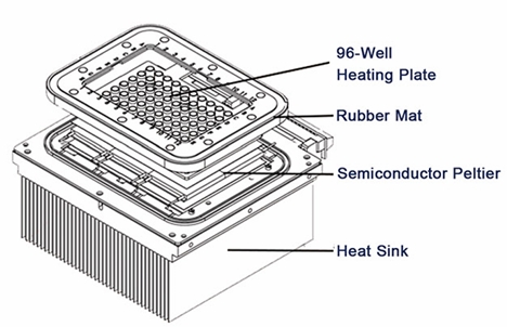 Real-time PCR system with 96wells 4 channels LEIA-X4