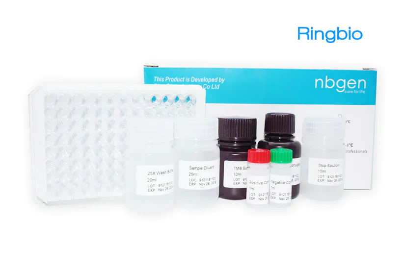 Brucella Antibody Competitive ELISA Kit, multispecies