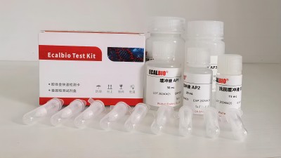 Deep-Processed Food DNA Extraction Kit