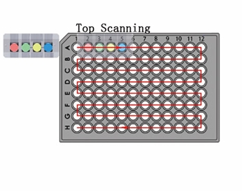 Real-time PCR system with 96wells 4 channels LEIA-X4