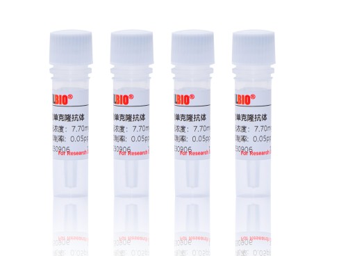 Prestained Protein Ladder