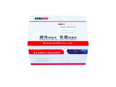 Monkey Pox Virus qPCR Kit
